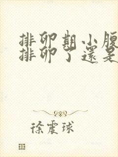 排卵期小腹胀是排卵了还是没排