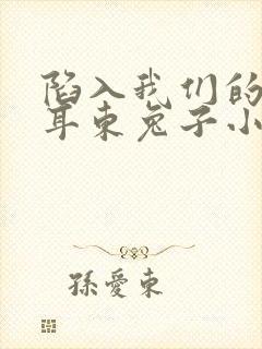 陷入我们的热恋耳东兔子小说完结版