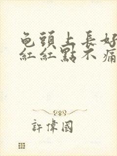 龟头上长好多小红红点不痛不痒