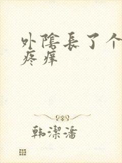 外阴长了个大痘疼痒