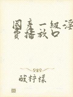 国产一级淫片免费播放口封面