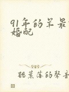 91年的羊最佳婚配封面