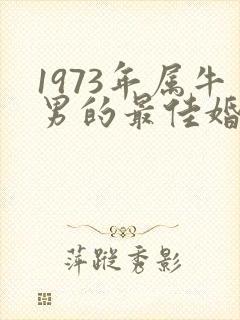 1973年属牛男的最佳婚配封面
