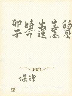 卯时出生的男孩子命运怎么样