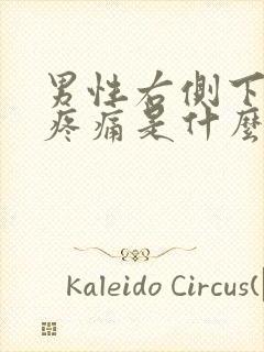 男性右侧下腹部疼痛是什么原因封面