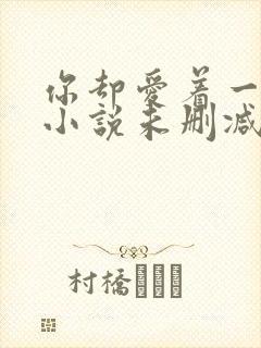 你却爱着一个他小说未删减完整版