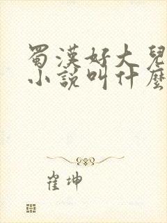 蜀汉好大儿原著小说叫什么名字封面