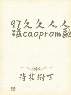 97久久人人超碰caoprom欧美
