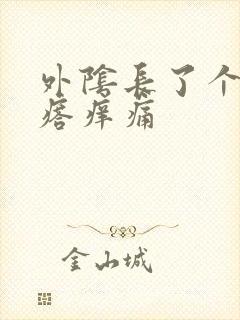 外阴长了个硬疙瘩痒痛