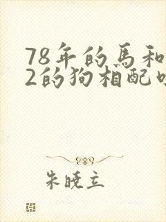 78年的马和82的狗相配吗封面
