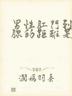 男性肛门到前列腺的距离是多少