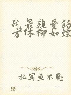 我最亲爱的小说方休柳如烟封面