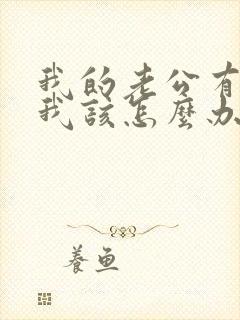 我的老公有外遇我该怎么办