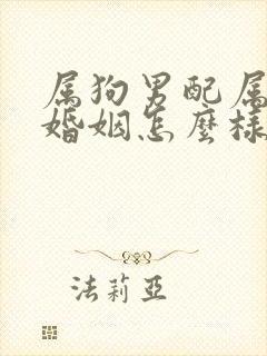 属狗男配属羊女婚姻怎么样封面