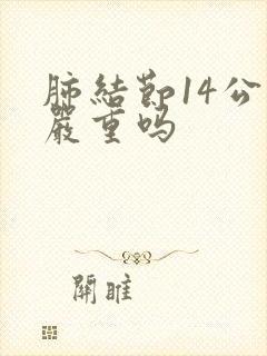 肺结节14公分严重吗