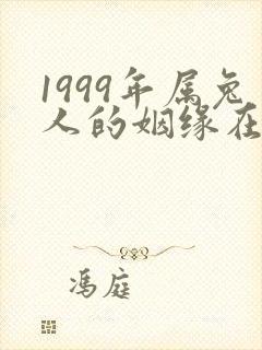 1999年属兔人的姻缘在哪年