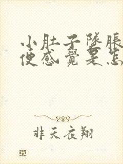 小肚子坠胀有排便感觉是怎么回事