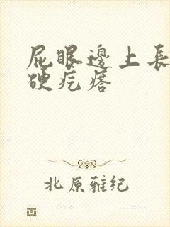 屁眼边上长了个硬疙瘩