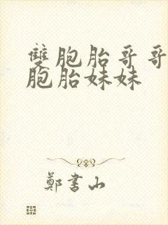 双胞胎哥哥和双胞胎妹妹