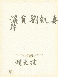 演员刘凯妻子照片封面