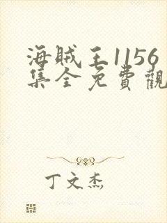 海贼王1156集全免费观看在线播放