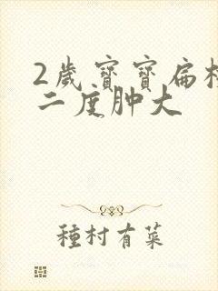 2岁宝宝扁桃体二度肿大