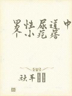 男性尿道中间有个小疙瘩封面