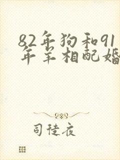 82年狗和91年羊相配婚姻如何