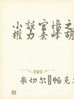 小说官场之绝对权力秦峰胡佳云免费阅读