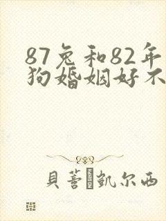 87兔和82年狗婚姻好不好封面