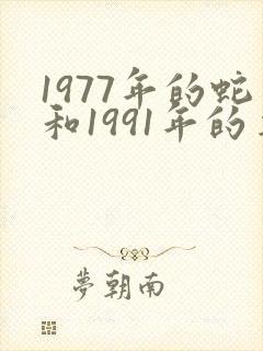 1977年的蛇和1991年的羊配不配