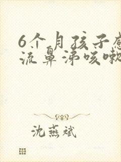 6个月孩子感冒流鼻涕咳嗽怎么治