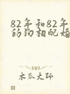 82年和82年的狗相配婚姻如何