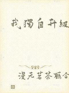 我独自升级小说