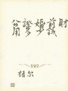 公证婚前财产费用多少钱封面