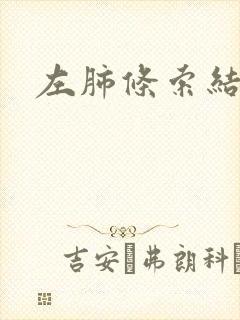 左肺条索结节影