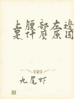 上腹部左边疼痛是什么原因