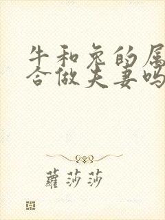 牛和兔的属相适合做夫妻吗