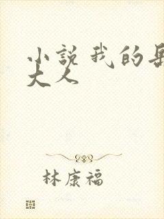 小说 我的岳母大人封面