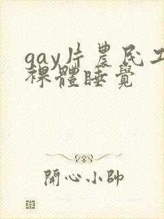gay片农民工裸体睡觉封面