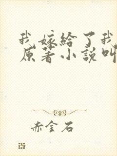 我嫁给了我儿子原著小说叫什么