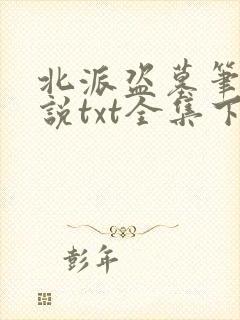 北派盗墓笔记小说txt全集下载