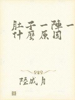 肚子一阵一阵痛什么原因