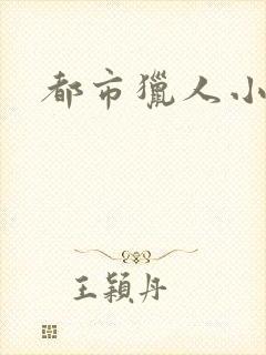 都市猎人小说
