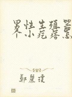 男性生殖器上长个小疙瘩怎么回事