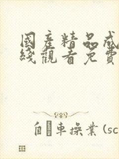 国产精品成人在线观看免费