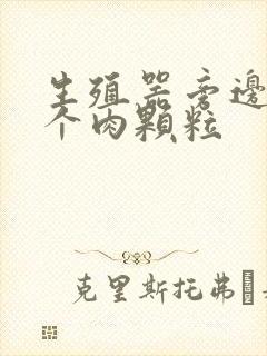 生殖器旁边长了个肉颗粒