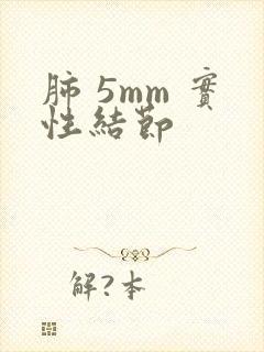 肺 5mm 实性结节