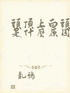 头顶上白头发多是什么原因