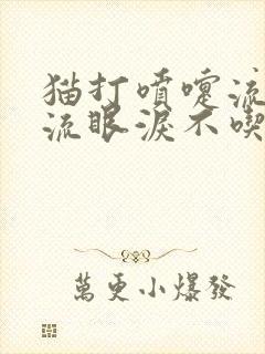 猫打喷嚏流鼻涕流眼泪不吃饭怎么办封面